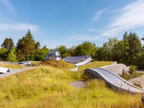 Green roof with grasses and atrium